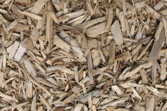 biomass boilers Halvosso